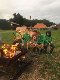Welpen kampvuur.jpeg