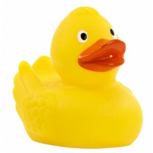 Duck.jpg